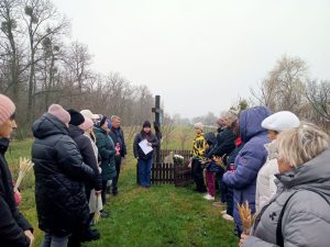 587626213 808807445477745 8310659740508165528 N