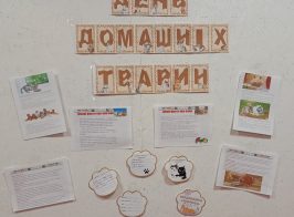 592122868 1558931258575909 8967068963459487206 N